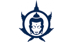 Buddha Seeds