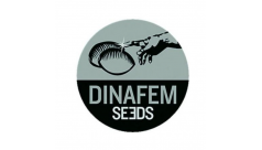 Dinafem