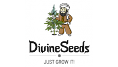 Divine Seeds