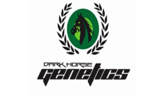 Dark Horse Genetics