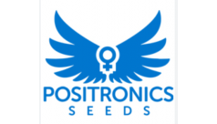 Positronics Seeds