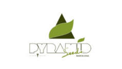 Pyramid Seeds
