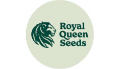 Royal Queen Seeds