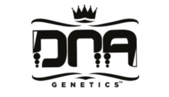 DNA Genetics