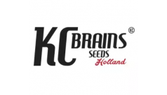 K.C.Brains